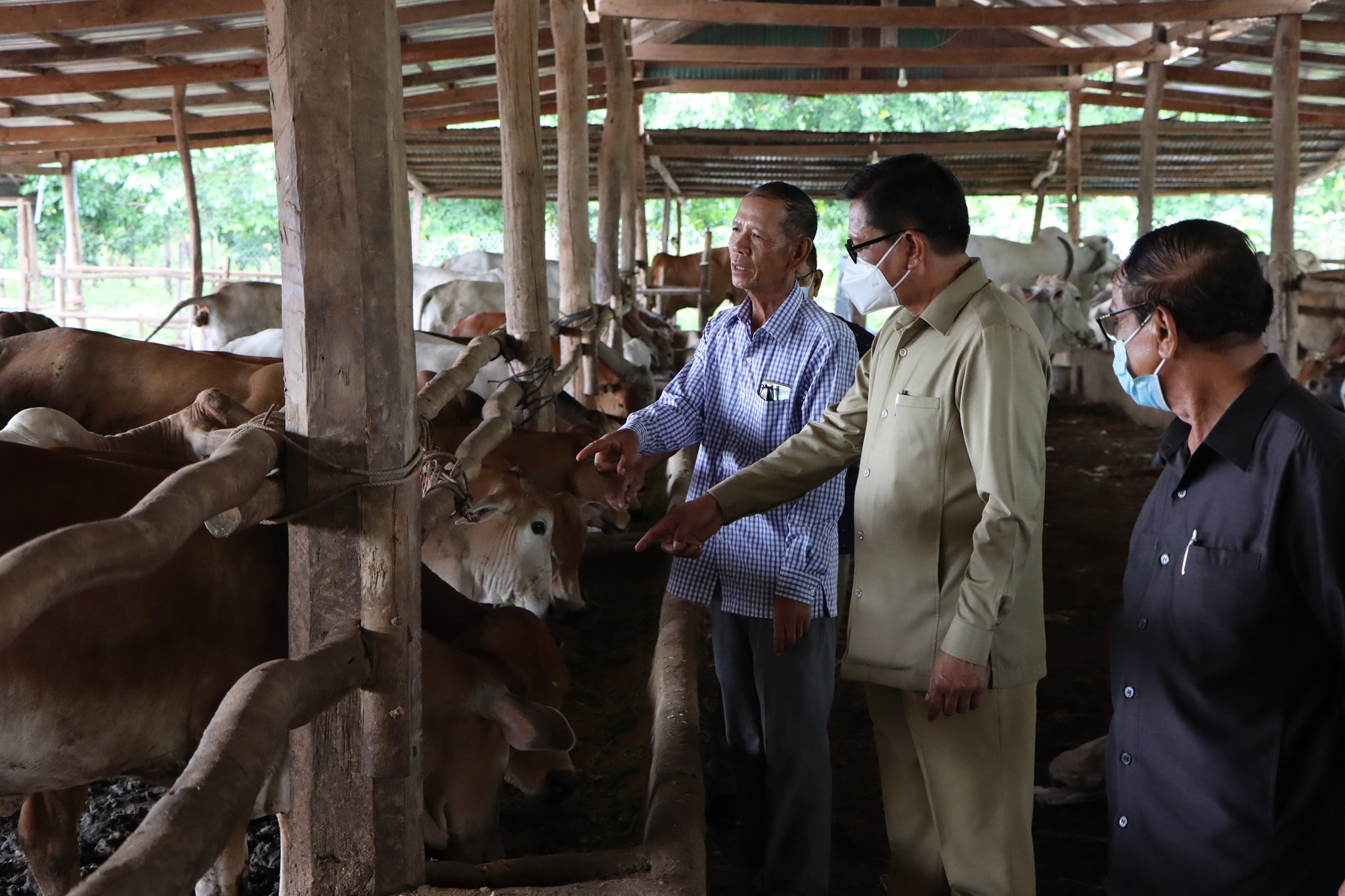 លោក ហ៊ួត លាង ដង្ខៅគោ​ខេត្ត​ត្បូងឃ្មុំ [រូបពាក់អាវការ៉ូ ] (រូបភាព៖ មន្ទីរកសិកម្មខេត្តត្បូងឃ្មុំ)