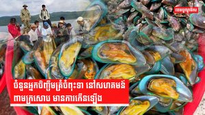 សហគមន៍ពាមក្រសោប