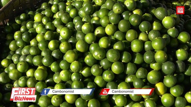 កម្ពុជានាំចេញ ក្រូចឆ្មាជាង ២ពាន់តោន នៅឆ្នាំ២០២០ ខណៈអាជីវករថា ក្រូចឆ្មាខ្មែរលក់លើទីផ្សារមានតិចតួចណាស់