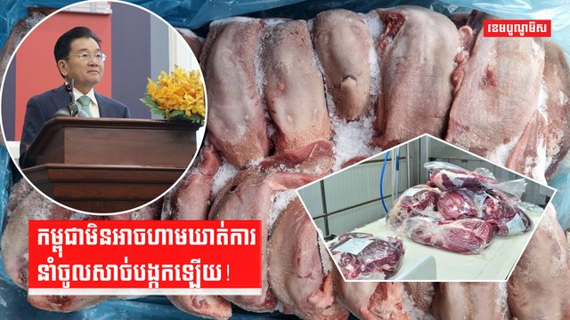 សាច់បង្កក