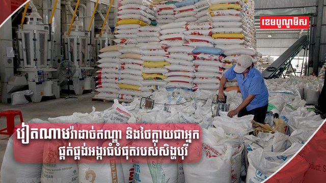 វិស័យកសិកម្ម