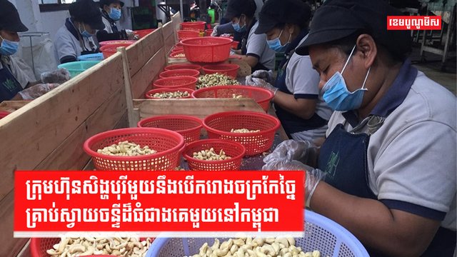 គ្រាប់ស្វាយចន្ទី
