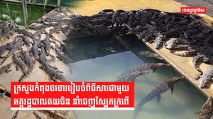 កសិដ្ឋានចិញ្ចឹមក្រពើ