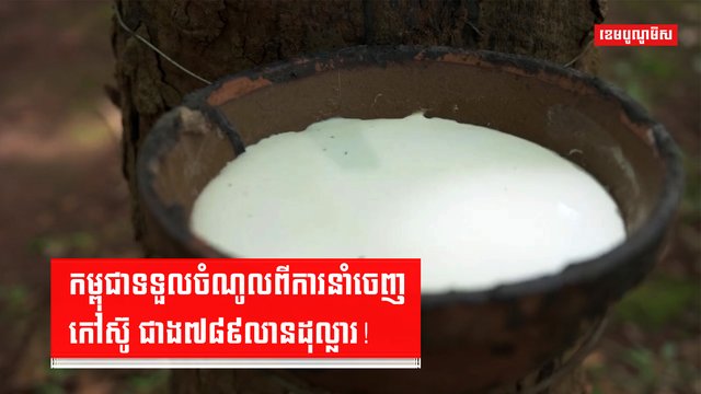 ដំណាំកៅស៊ូ