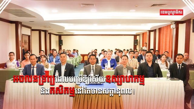 វិស័យអចលនទ្រព្យ