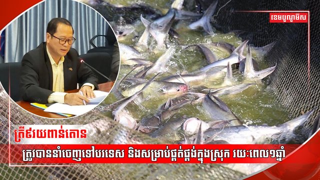 គម្រោង CAPFISH-Capture