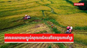 គោលនយោបាយព្យួរបំណុលកសិករនៅថៃទទួលការគាំទ្រ