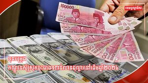 ទុនបម្រុងឥណ្ឌូនេស៊ី
