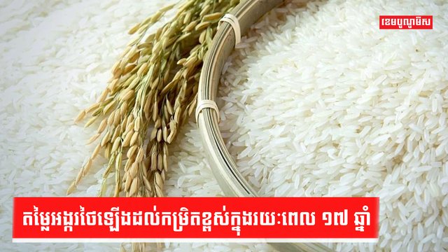 វិស័យស្រូវ អង្ករ