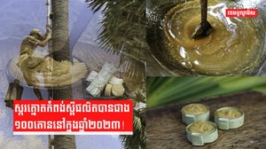 ផលិតស្ករត្នោត