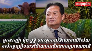 វិស័យកសិកម្ម