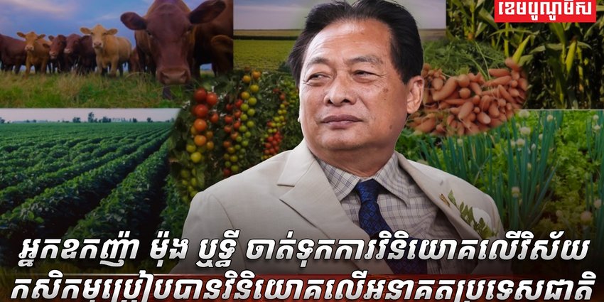 វិស័យកសិកម្ម
