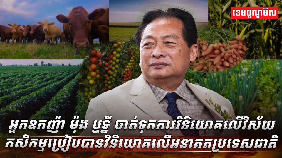 វិស័យកសិកម្ម