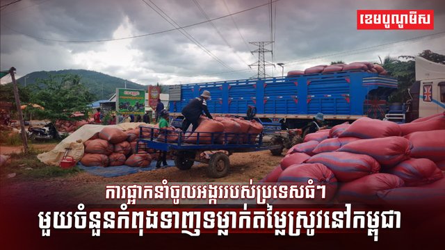 វិស័យស្រូវ អង្ករ