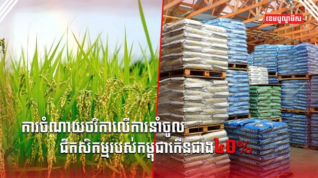 វិស័យកសិកម្ម
