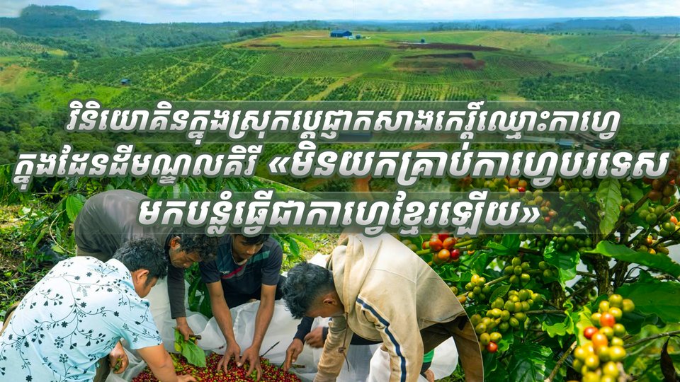 វិនិយោគិនក្នុងស្រុកប្តេជ្ញាកសាងកេរ្តិ៍ឈ្មោះកាហ្វេក្នុងដែនដីមណ្ឌលគិរី «មិនយកគ្រាប់កាហ្វេបរទេស មកបន្លំធ្វើជាកាហ្វេខ្មែរឡើយ»