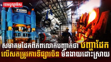 បញ្ហាទីផ្សារដែក