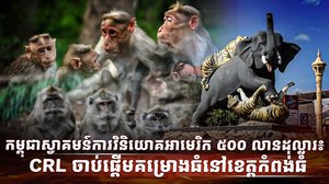 កសិដ្ឋានចិញ្ចឹមសត្វស្វា