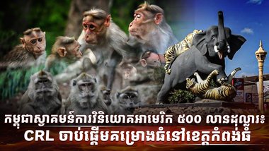 កសិដ្ឋានចិញ្ចឹមសត្វស្វា