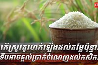 វិស័យ កសិកម្ម