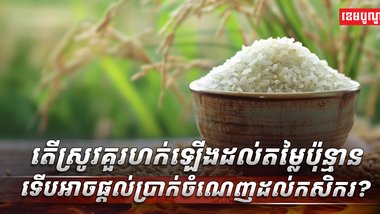 វិស័យ កសិកម្ម