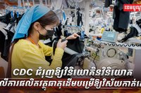 វិស័យកាត់ដេរ