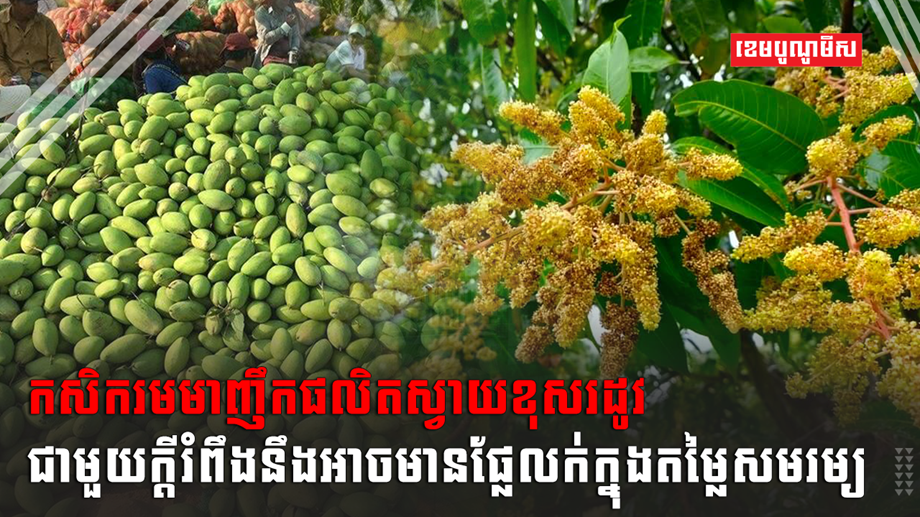 វិស័យកសិកម្ម