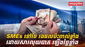 វិស័យសេដ្ឋកិច្ច