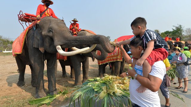 ភ្ញៀវទេសចរចិនដែលបានទៅលេងកំសាន្តនៅកោះភូកេតប្រទេសថៃ រូបភាព៖ ស៊ិនហួ