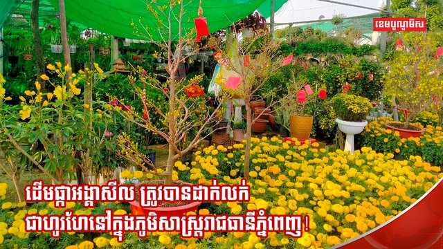 បុណ្យចូលឆ្នាំចិន