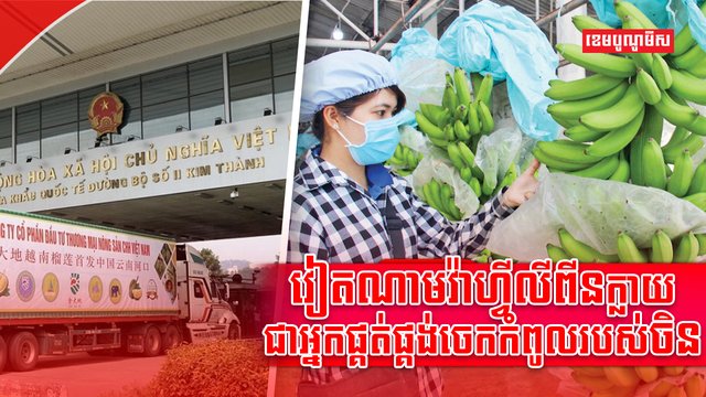 វិស័យពាណិជ្ជកម្ម