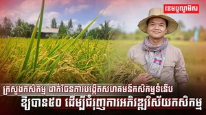 សហគមន៍កសិកម្មទំនើប