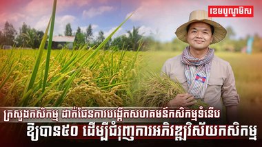 សហគមន៍កសិកម្មទំនើប