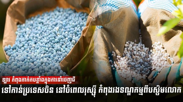 ឡាវ កំពុងកាក់កបខ្លាំង