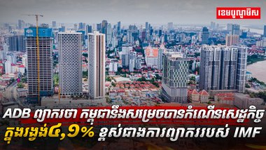 វិស័យសេដ្ឋកិច្ច