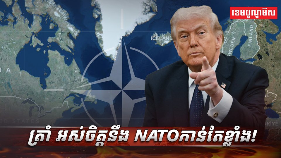 អង្គការ  NATO