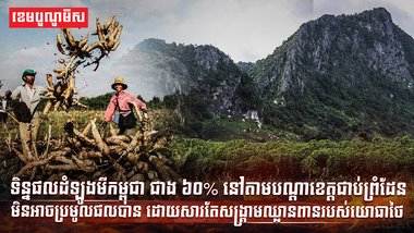 វិស័យកសិកម្ម