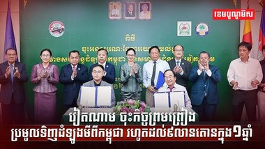 វិស័យកសិកម្ម