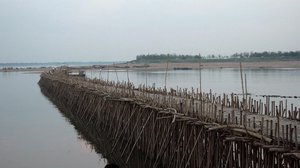 ប្រដឹស ឬ​ស្ពាន​ឫស្សី កោះប៉ែន ខេត្ត​កំពង់ចាម។ រូបភាព៖ komitu.blogspot.com