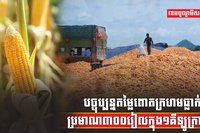 ទីផ្សារពោតក្រហម