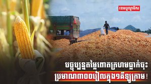 ទីផ្សារពោតក្រហម