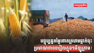 ទីផ្សារពោតក្រហម