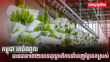 វិស័យកសិកម្ម