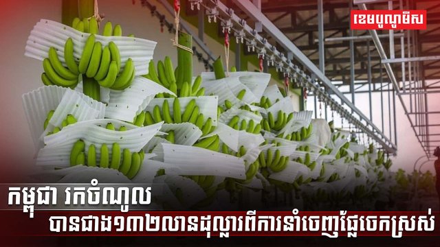 វិស័យកសិកម្ម