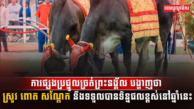 វិស័យកសិកម្ម