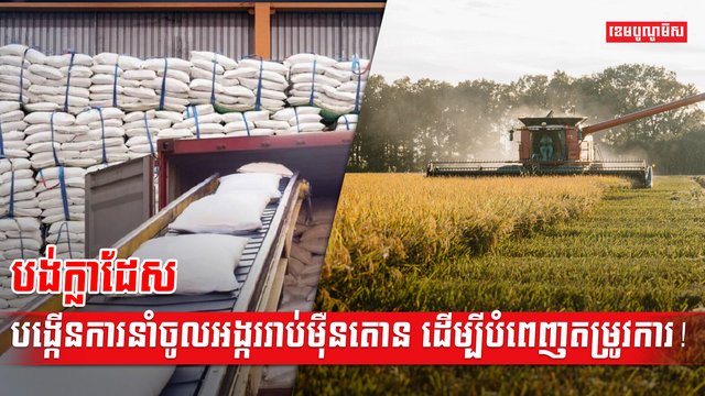 វិស័យកសិកម្ម