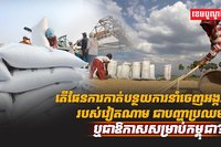 វិស័យស្រូវ អង្ករ