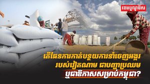 វិស័យស្រូវ អង្ករ