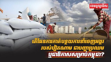 វិស័យស្រូវ អង្ករ