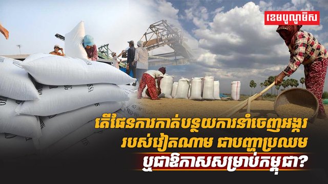 វិស័យស្រូវ អង្ករ